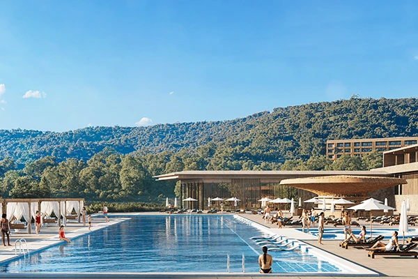 Sioni project archi